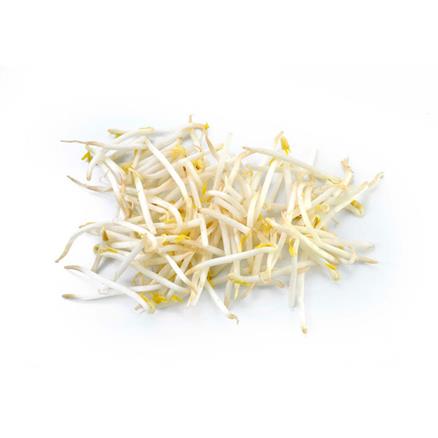Beansprouts 4kg